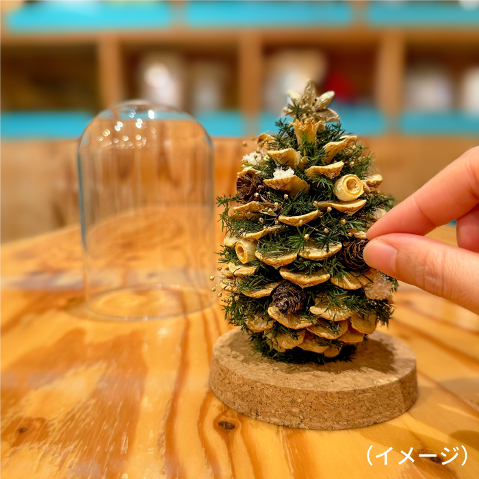 ハンズ新宿店 【新宿店】松ぼっくりのクリスマスツリー (2023/12/18(月