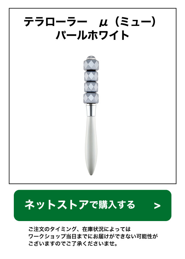 新品未使用】SITERA美顔ローラーセット リフトアップローラー ケイ素